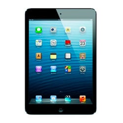 Apple iPad