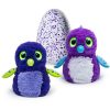Hatchimals