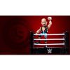 WWE-Slam-Stars-Loot-Crate