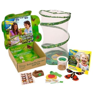 Insect Lore Deluxe Butterfly Garden Gift Set