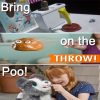 Bring-On-The-Poo