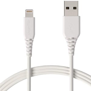 AmazonBasics 10ft Lightning Cable